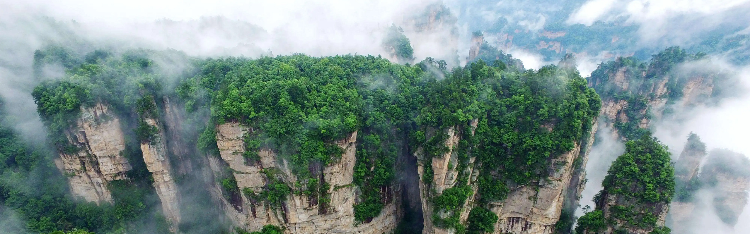 Zhangjiajie Tour Beedbacks