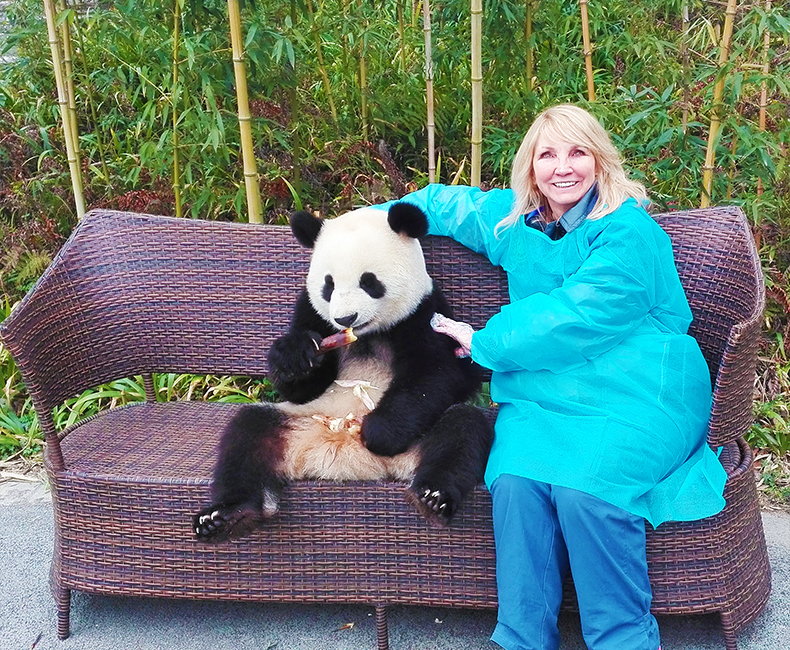 China Panda Tours