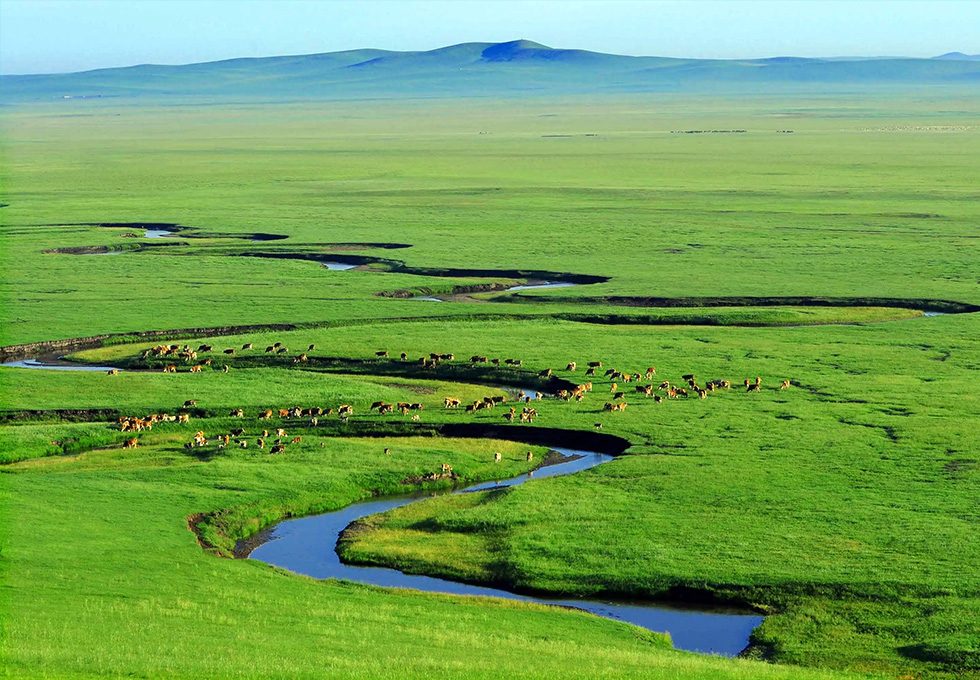 Summer in Inner Mongolia