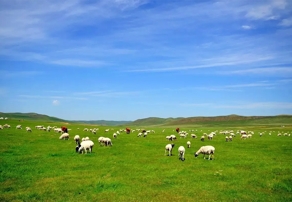 Xilamuren Grassland