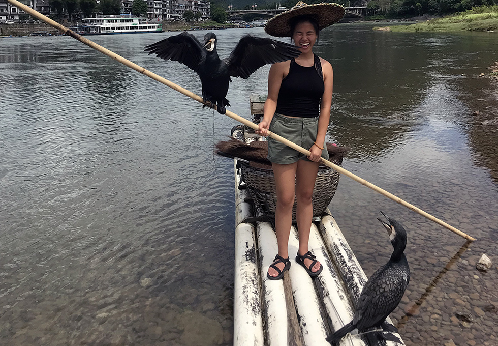 Cormorant Fishing