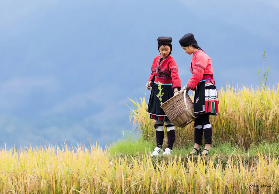 Red Clothing Yao Minority