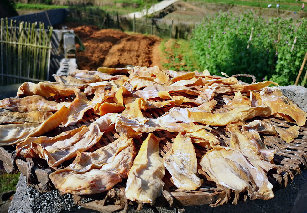 Dried Bamboo Shoots