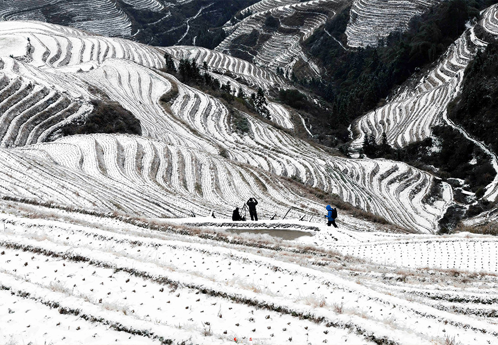 Longsheng Terraced Fields