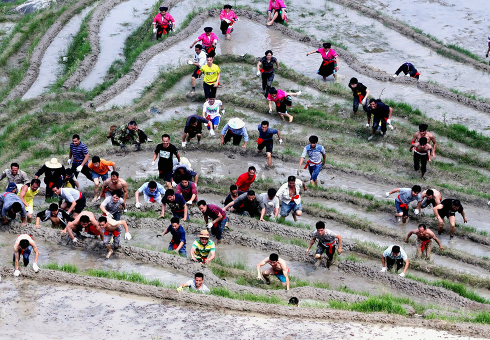 Longsheng Terraced Fields