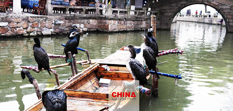 Tongli Water Town by Boat