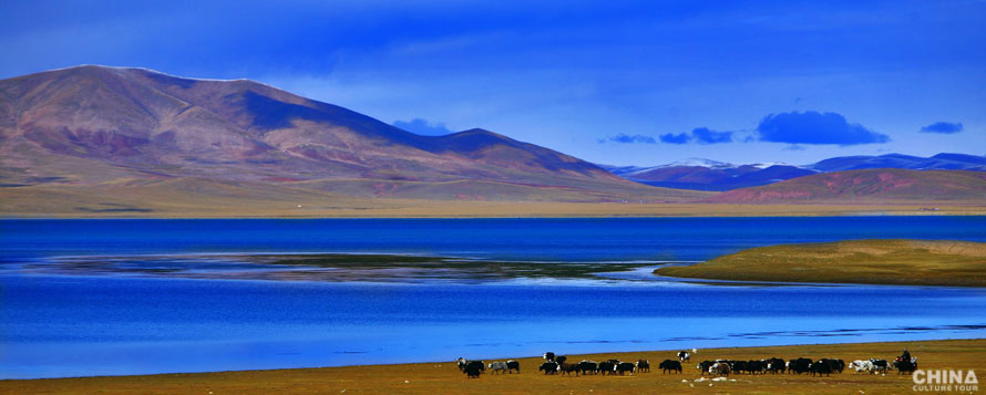 Yamdrok Lake