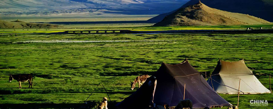 A pasture near Namtso Lake