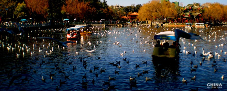 Kunming Lake in Cuihu Park
