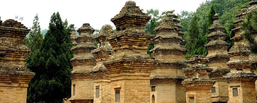 Pagoda Forest