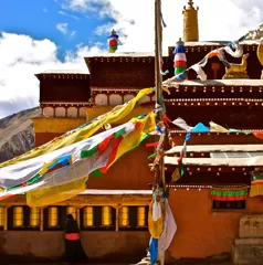 Tibet Tours