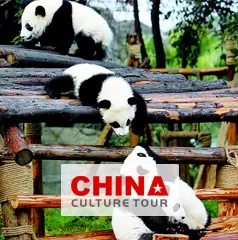 Fried's 15 Days Beijing Xian Chengdu Yangtze and shanghai Tour Package