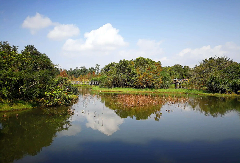 Xixi Wetland