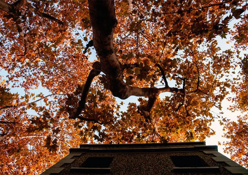 Best time to visit China for tours