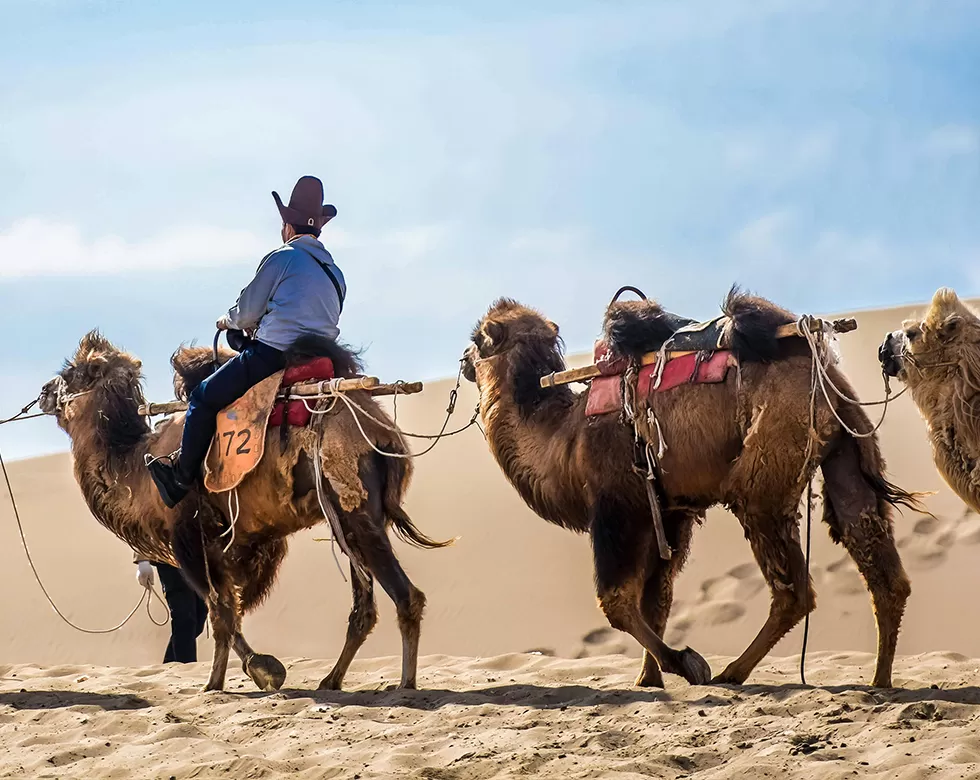 Silk Road and Tea Horse Caravan Trail