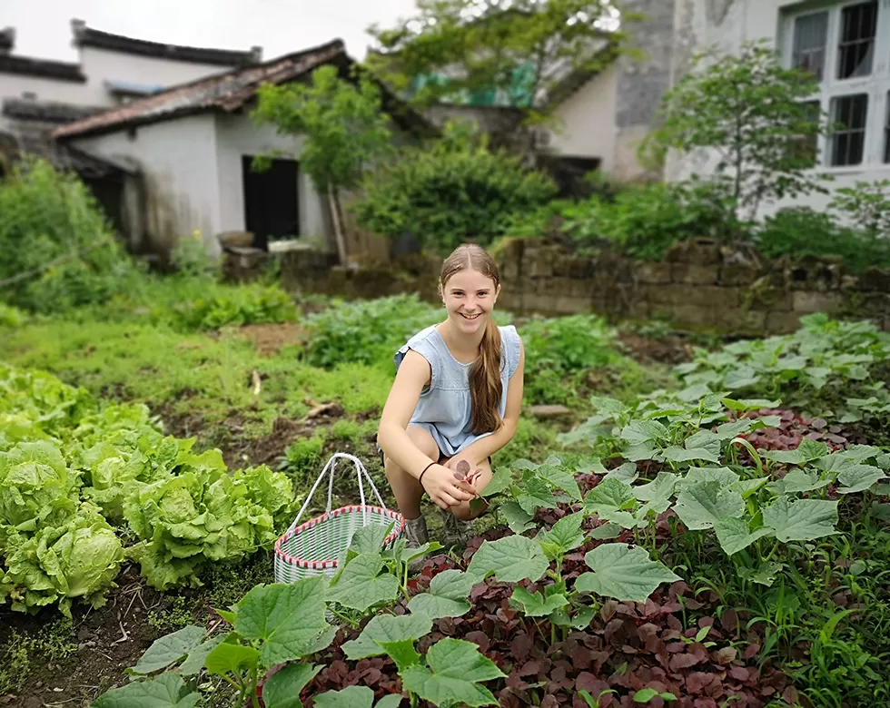 Huangshan Activities