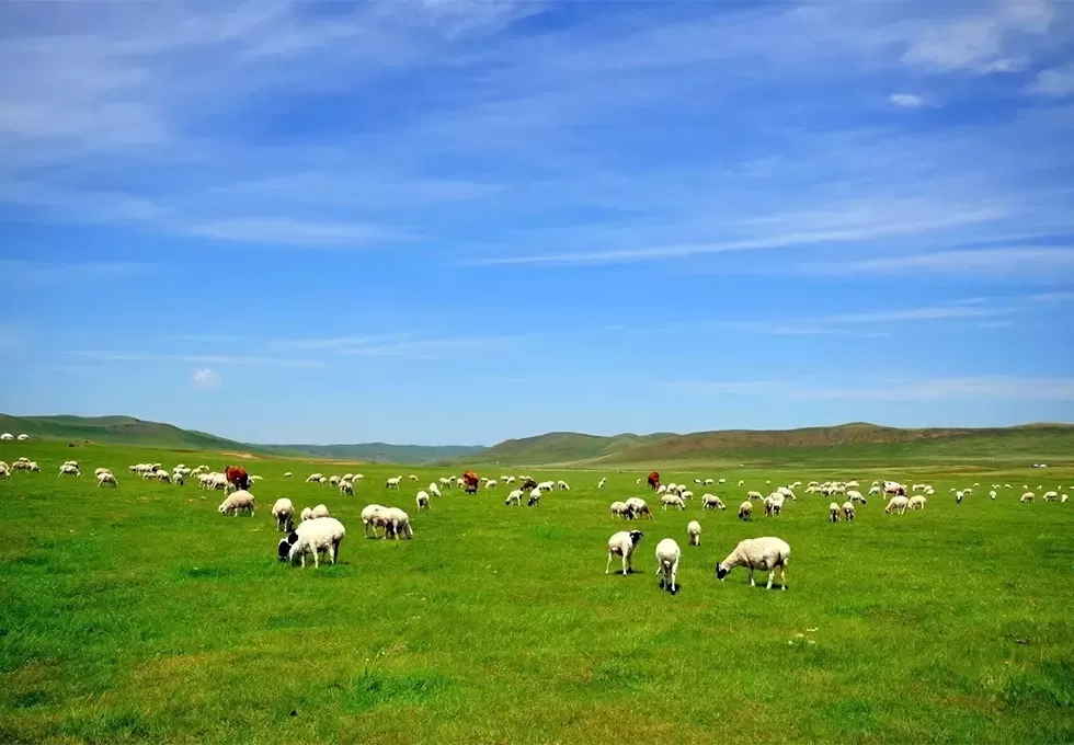 Top Inner Mongolia attractions