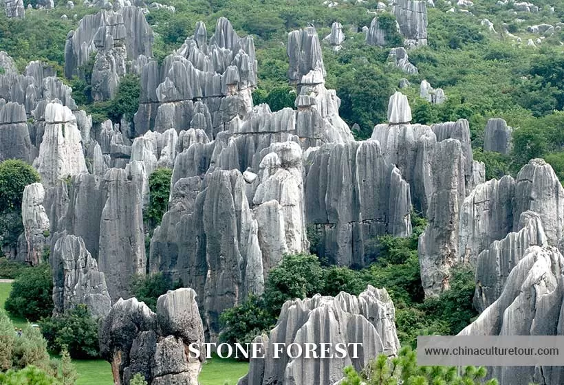 Stone Forest Yunnan