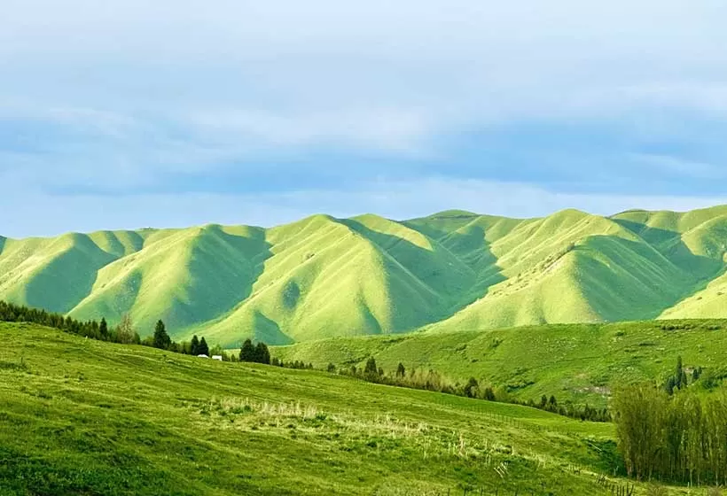 Xinjiang Grassland and Desert Tour