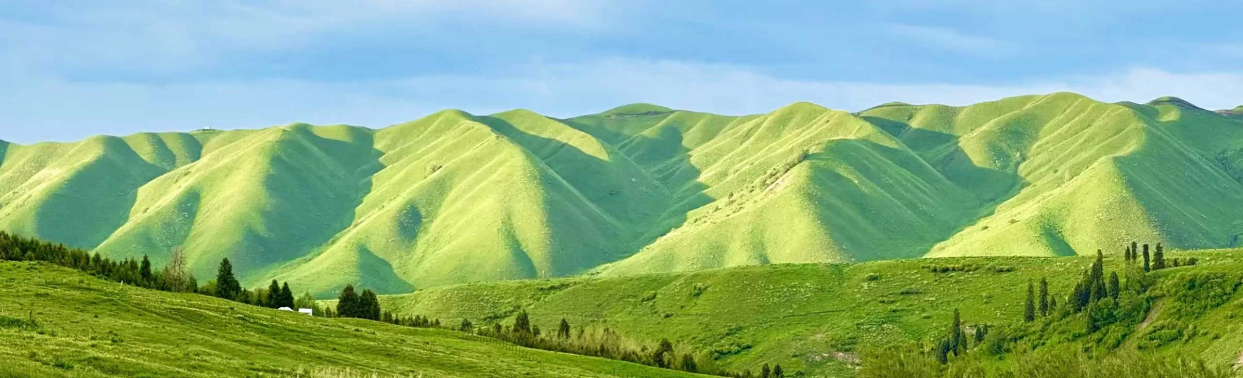 Xinjiang Grassland and Desert Tour