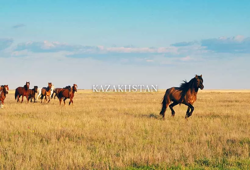 Uzbekistan and Kazakhstan Itinerary