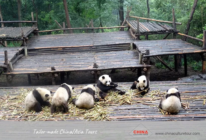 Chengdu itinerary 7 days