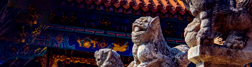 30 Days China Tour